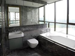 Skyline Residences (D4), Condominium #487449081